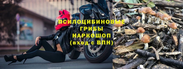 соль курить ск Новодвинск