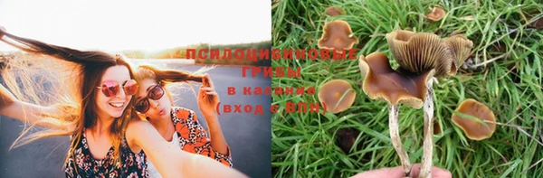 амфетамин Нефтекумск